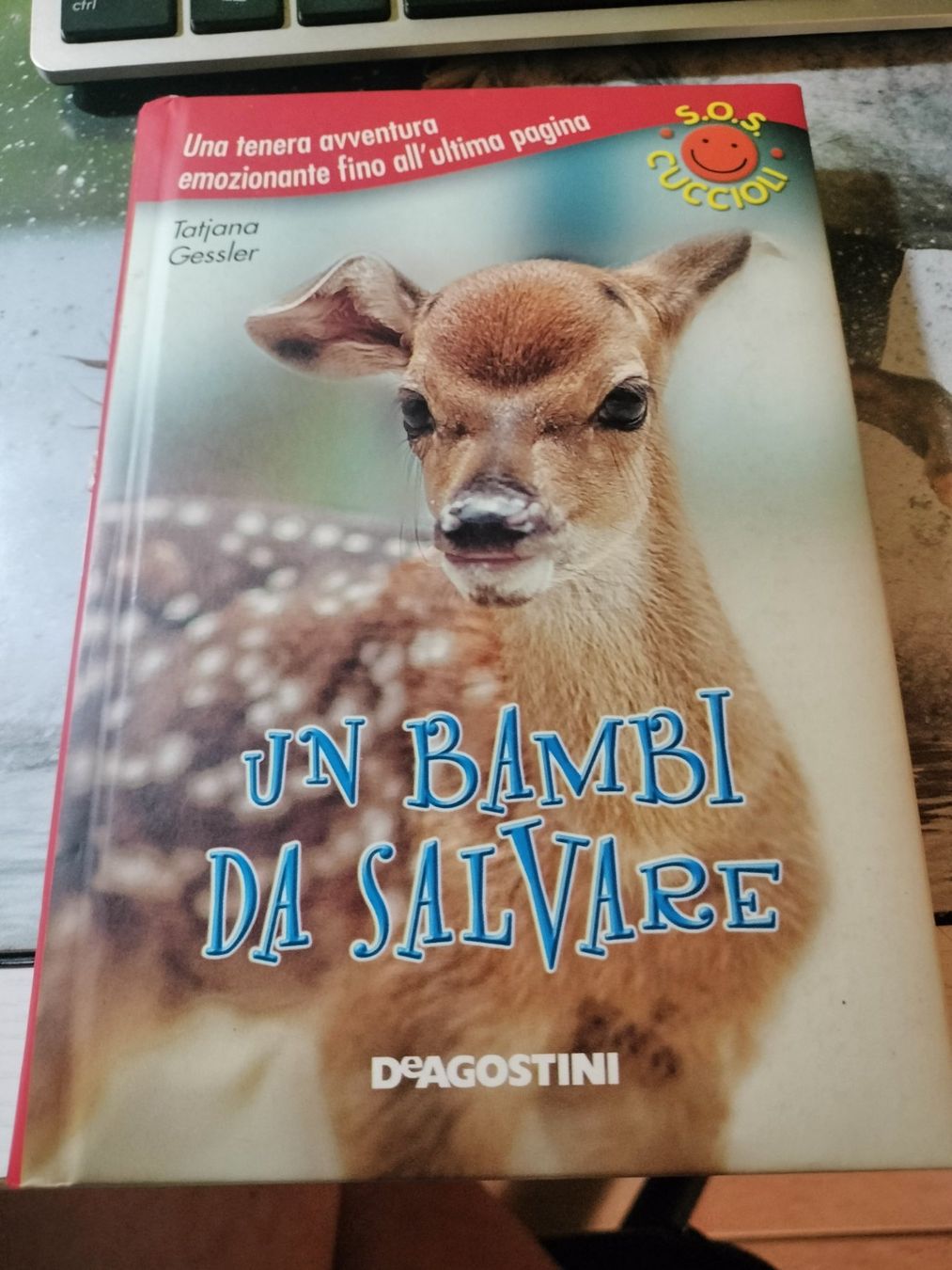 Libri: Un bambi da salvare – Nuovo (secondo la descrizione) da Capolago venduto da sco_7ywt