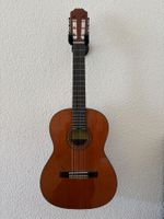 Pepe Gitarre