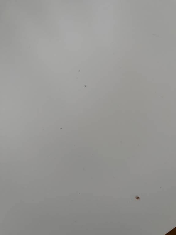 Scrivanie: Ikea Schreibtisch - 2 Schubladen – Usato da Luzern venduto da flo_db5q 2