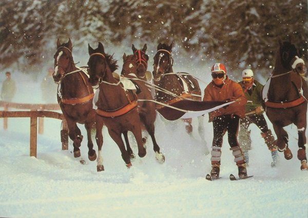 Cartoline postali: ST. MORITZ Skikjöring auf dem St. Moritzer See – Usato da Jona venduto da philajona