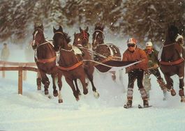 ST. MORITZ Skikjöring auf dem St. Moritzer See
