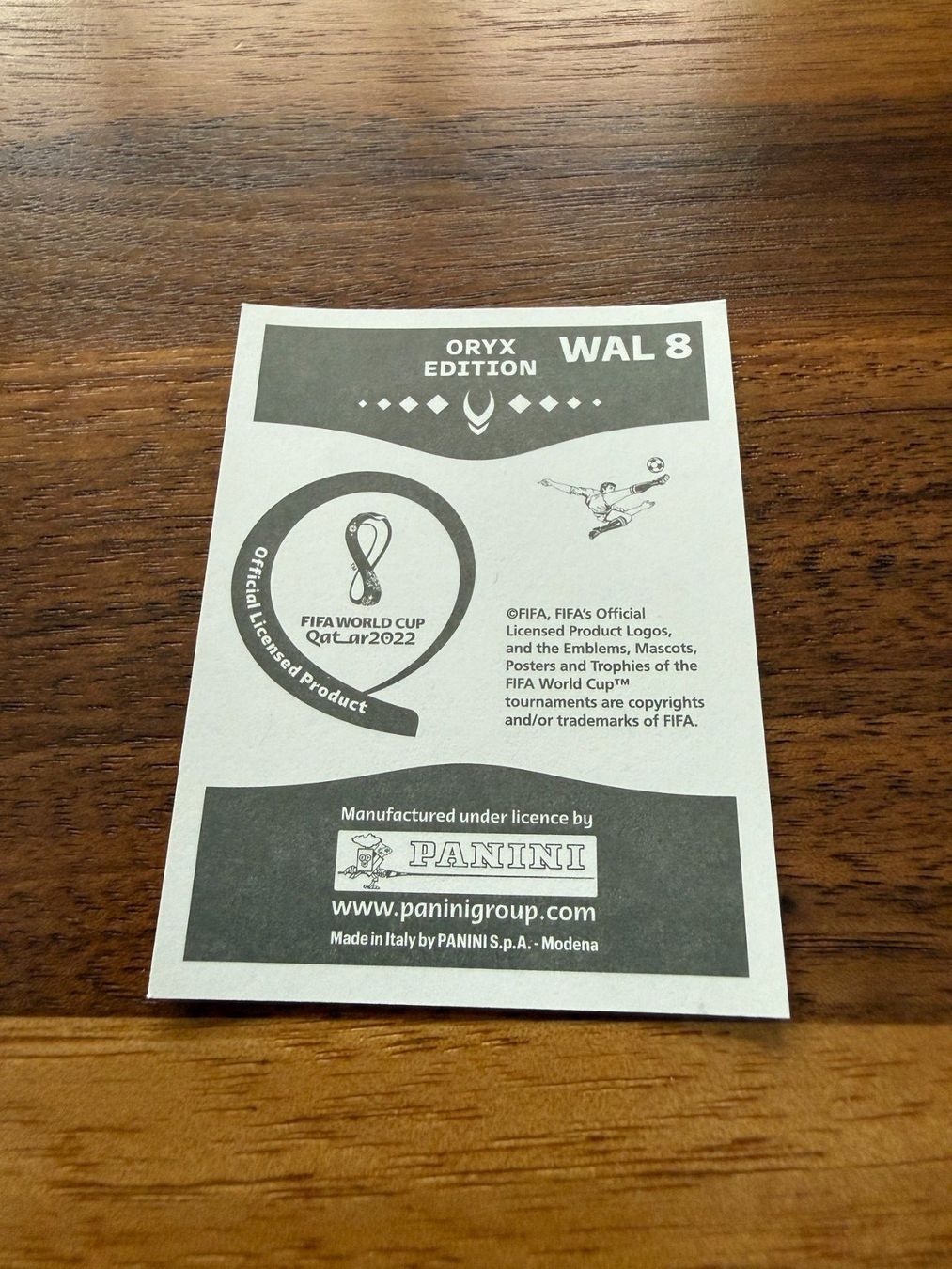 Panini Carte collezionabili: Panini WM Qatar 2022 - WAL8	Chris Mepham – Usato da Lyss venduto da Louuurs 1