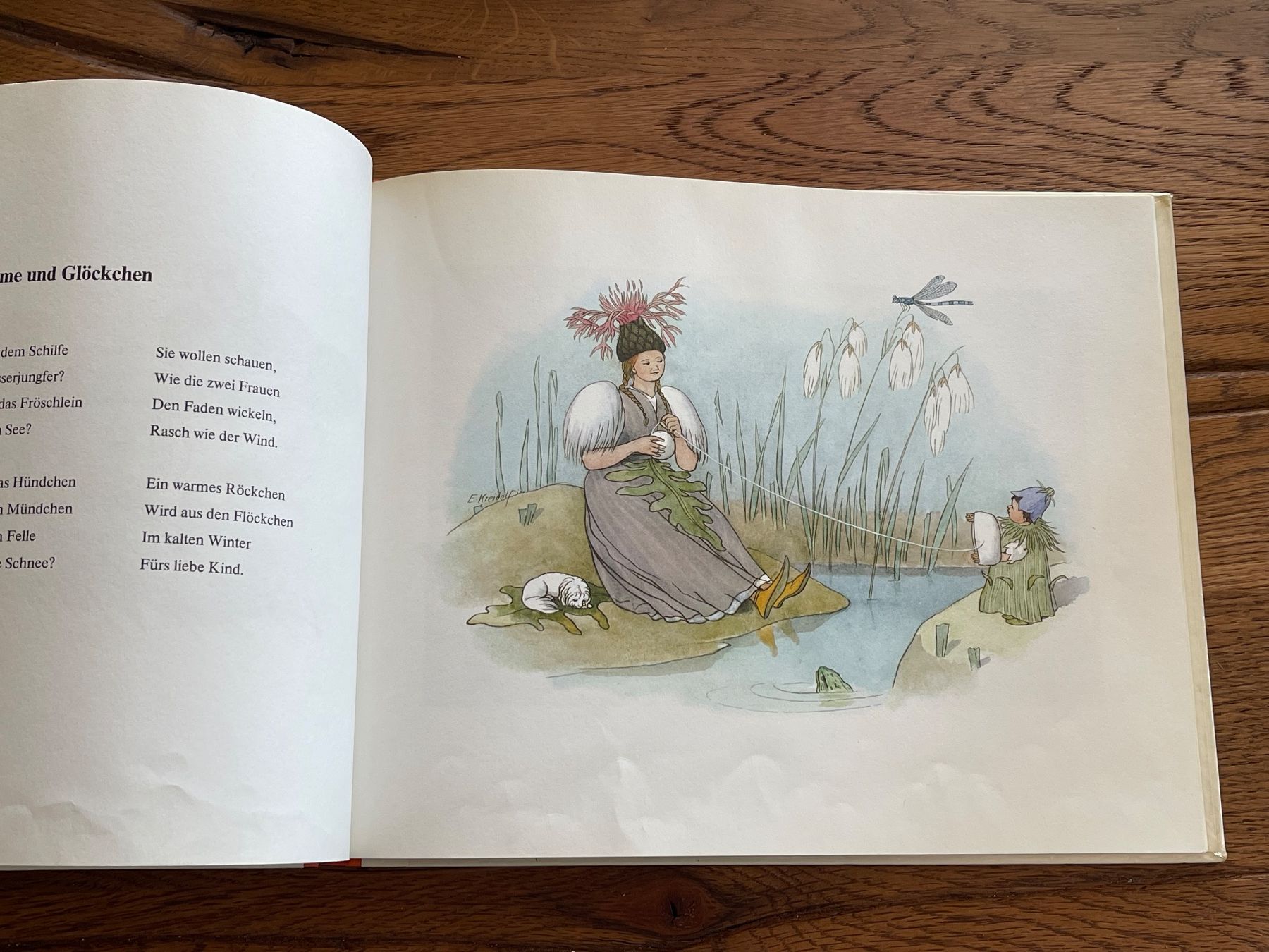 Libri: Blumen-Märchen von Else Freidolf (Nostalgie) – Usato da Zuerich venduto da Dorsi 1