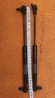 2 Stk Gasdruckfeder 29cm - NEU