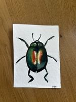 Karte Käfer