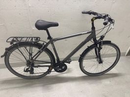 CALIFORNIA Trekkingbike