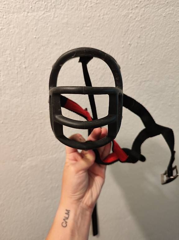 Altro per la casa: Basketville Maulkorb Size 6 – Usato da Niederhasli venduto da anny_94