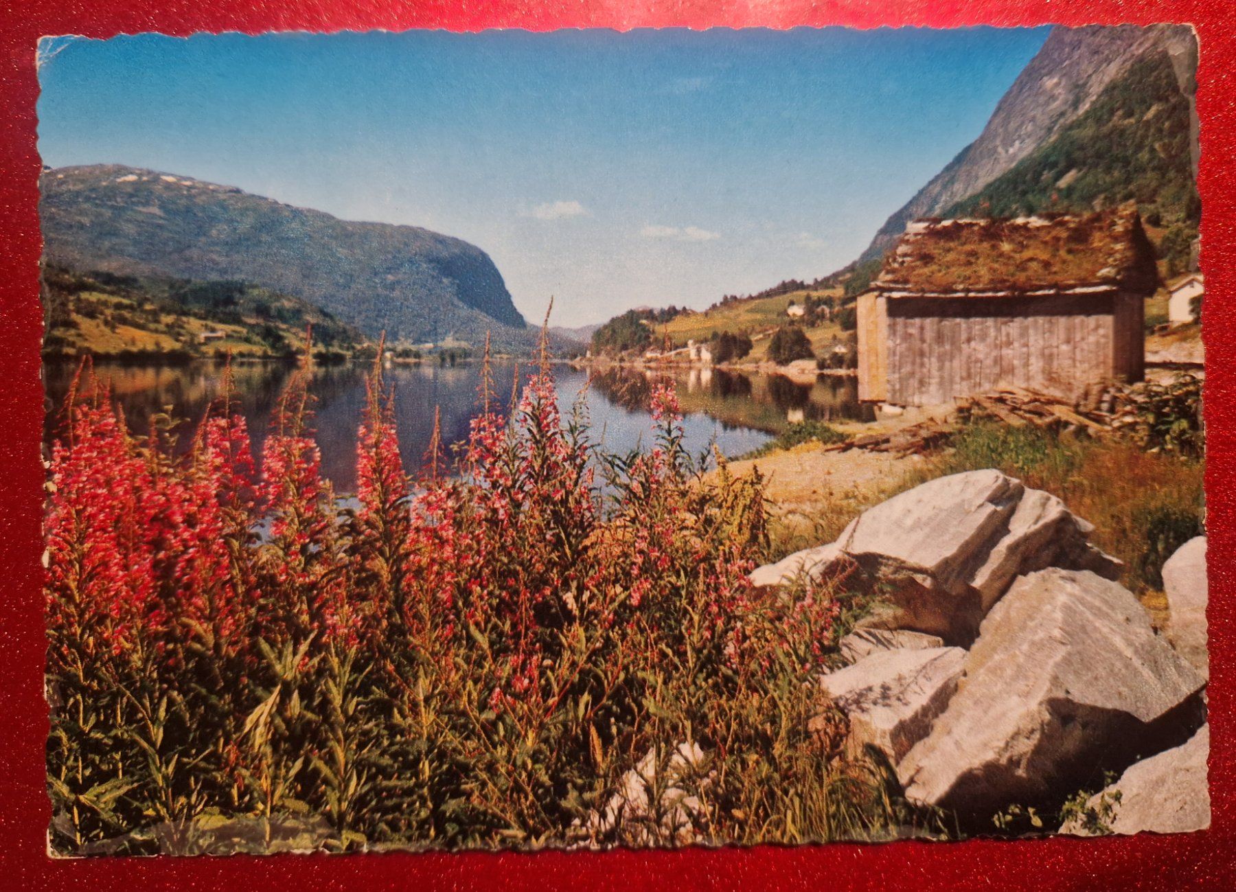 Cartoline postali: Alpenlandschaft 1971 – Usato da Melchnau venduto da Fishel