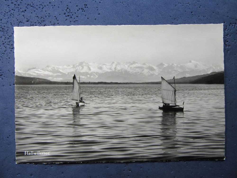 segelboot kaufen hallwilersee