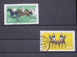 DDR 1979 Pferdezucht gest