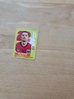 Panini Sticker AUT11