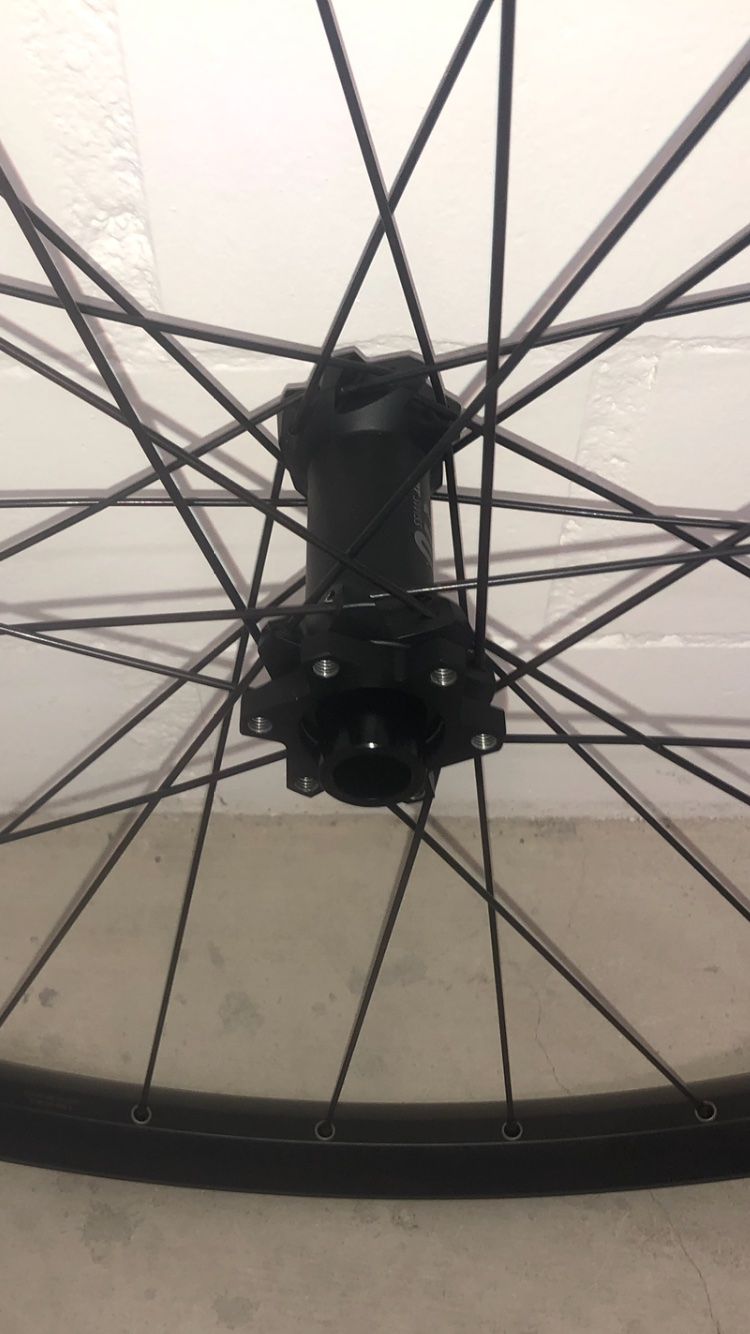 Swiss Pezzi di ricambio: DT Swiss E-1900 29 Boost Laufradsatz Neu – Nuovo (secondo la descrizione) da Winterthur venduto da janser02 5