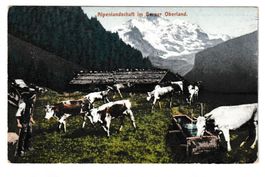 ALPENLANDSCHAFT im BERNER OBERLAND  1906 (C6