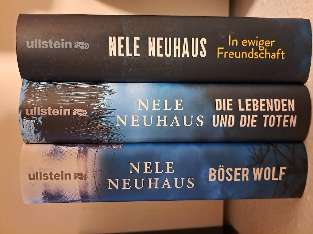 Libri: Krimi Hardcover Stück 5 Fr. – Usato da Winkel venduto da noirangel 4