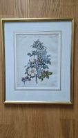 Kupferstich Rose um 1800