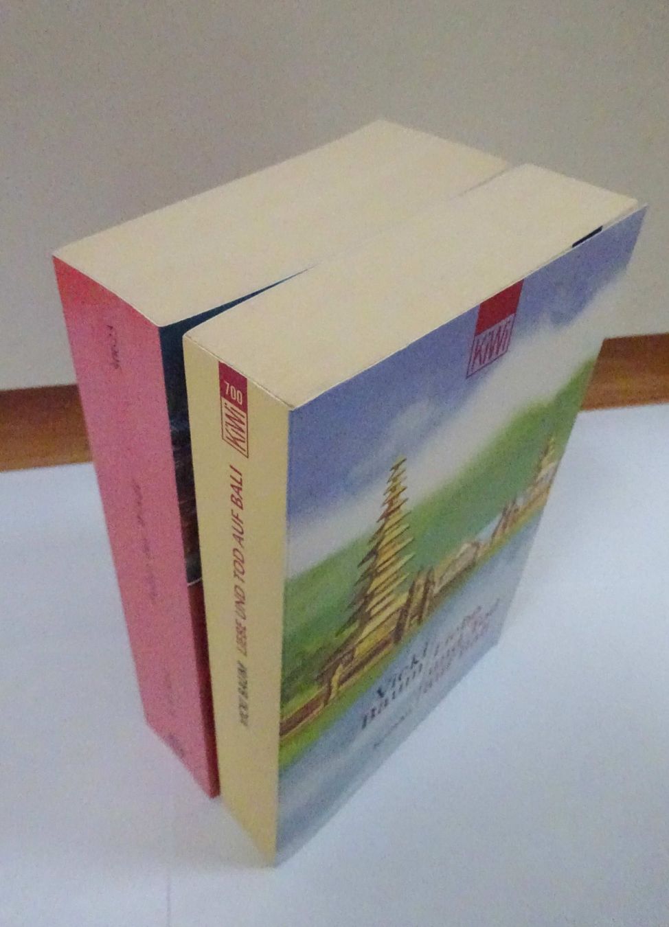 Libri: 2 neue Romane - Asien – Nuovo (secondo la descrizione) da Zofingen venduto da Justizia_01 1
