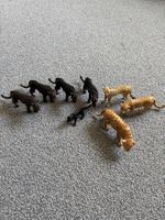 Schleich Wild Life: Panther & Leopard Familie, 7 Stk.