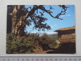 Weg nach Conn, Poststempel Flims Waldhaus, 1986