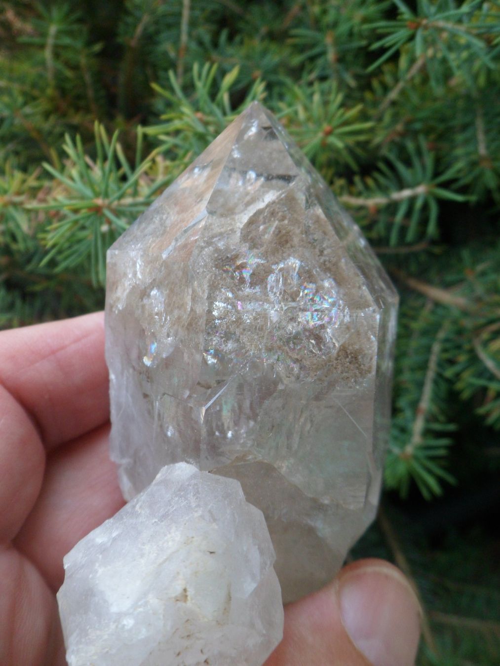 Minerali & Pietre curative: Bergkristall Schweiz 9 cm – Nuovo e nell'imballaggio originale da Affoltern am Albis venduto da Fossil60 3