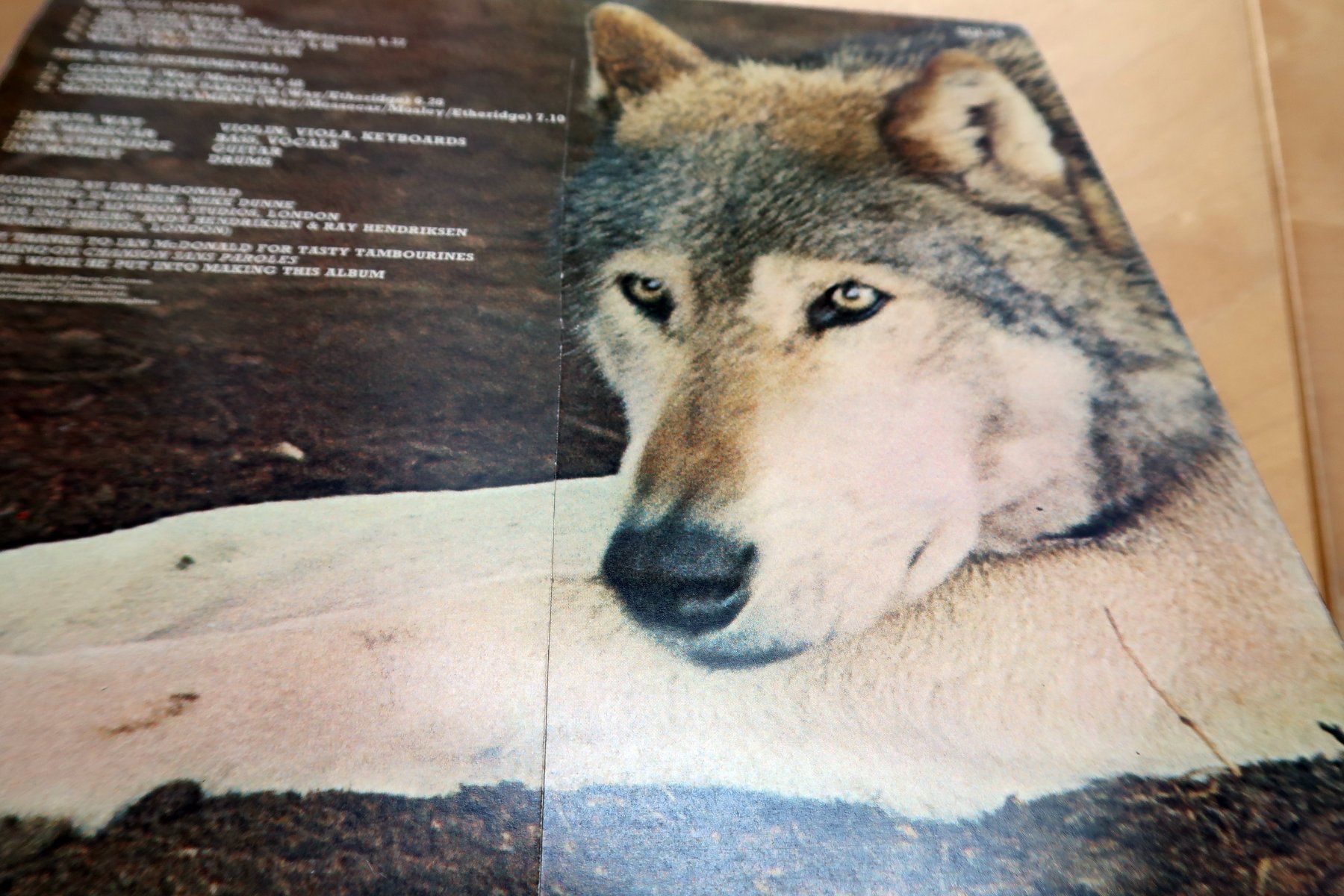 Dischi in vinile: DARRYL WAY's WOLF - CANIS LUPUS (LP VG) – Usato da Hedingen venduto da Studers 6