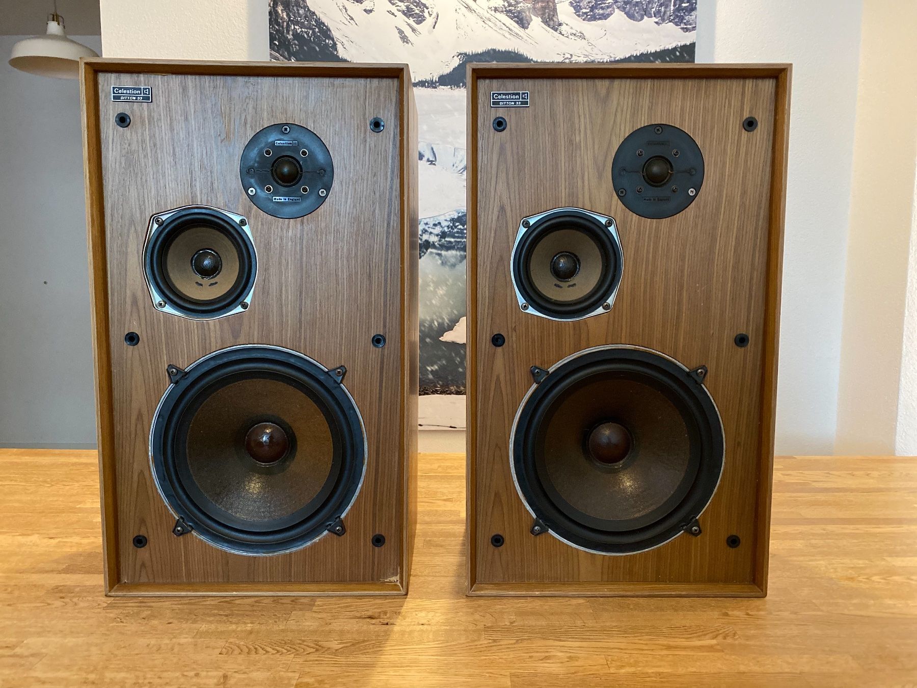 Haut-parleurs: Celestion Ditton 33 – revidiert – D'occasion à Zürich par Hundertfoif 4