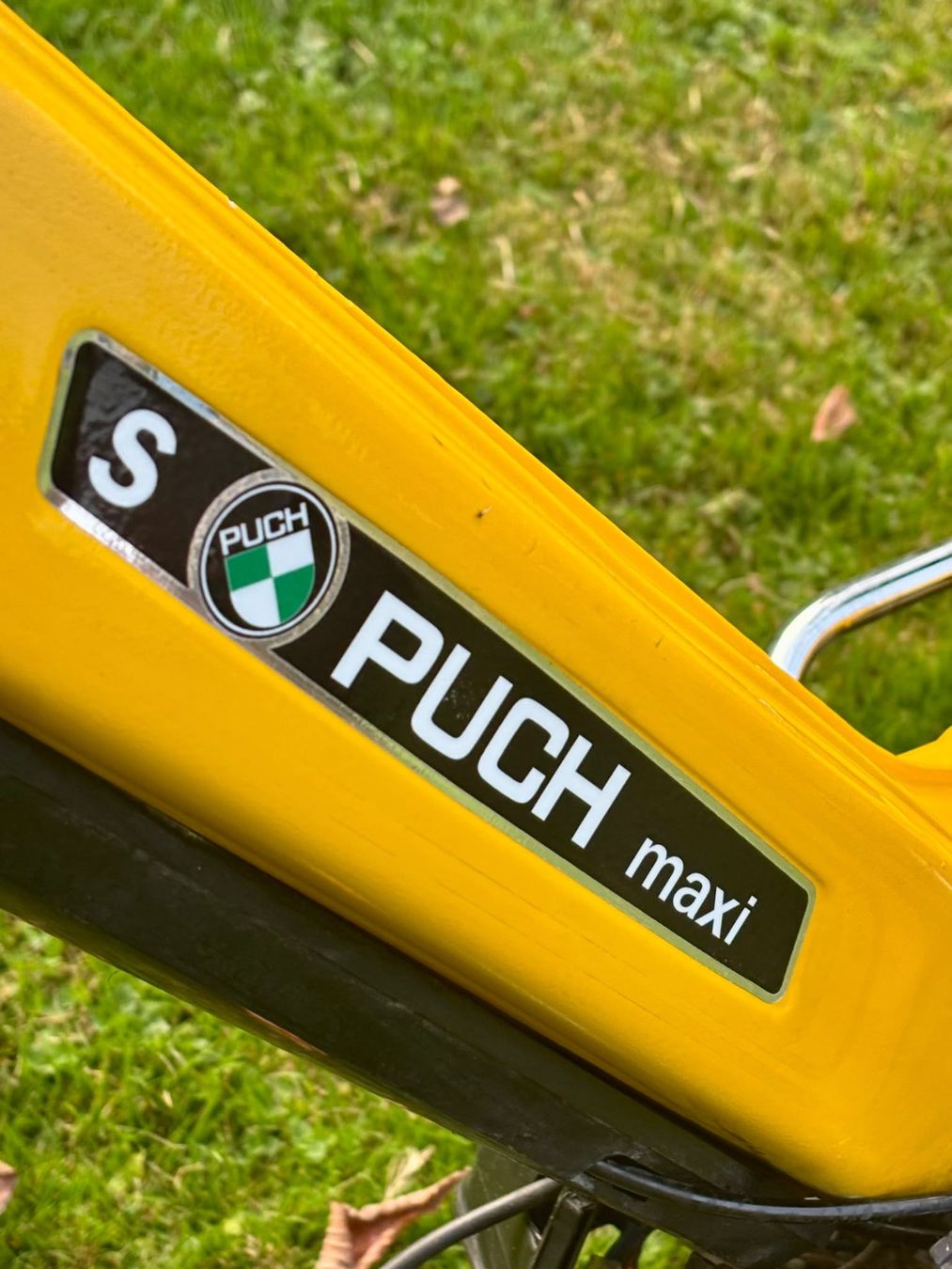 Puch Mofas: Puch Maxi S – Gebraucht aus Schüpfheim von Angelhear4 3