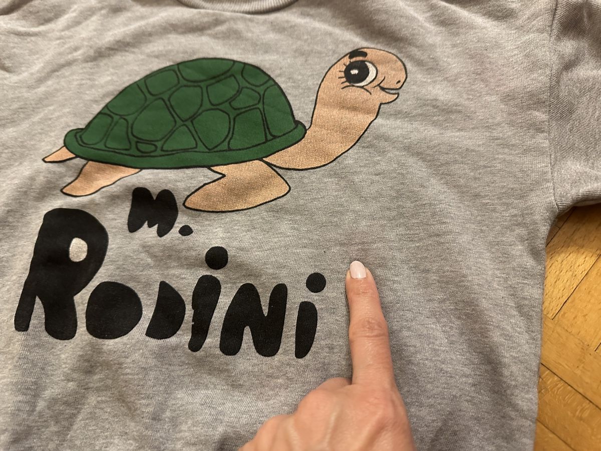 Mini Rodini Maglioni & Felpe: Mini Rodini Pulli Gr. 120 – Usato da Zürich venduto da Paleardi 3