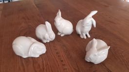 5er-Set seltene Sandoz Hasen Porzellan Suisse Langenthal Art