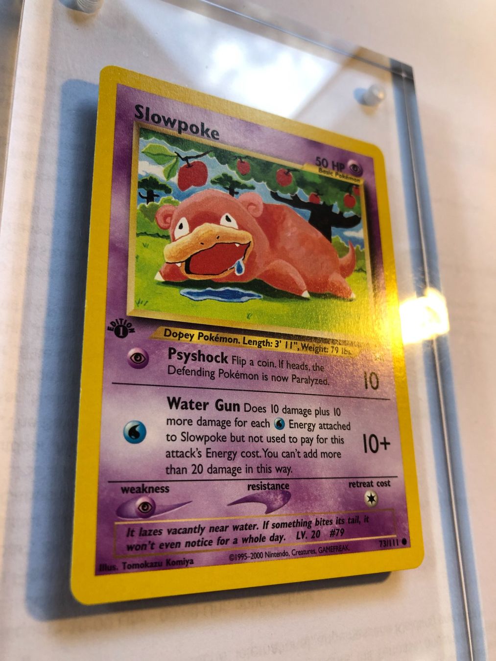Carte collezionabili: Slowpoke 1st Neo Genesis - MINT - ab 1.- – Usato da Giubiasco venduto da dan_pr8b 1