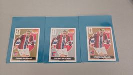 Erling Haaland Gold + Silver + Bronze – Panini FIFA World Cu