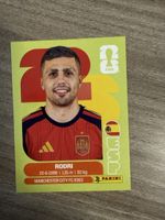 Panini Fifa ESP 10