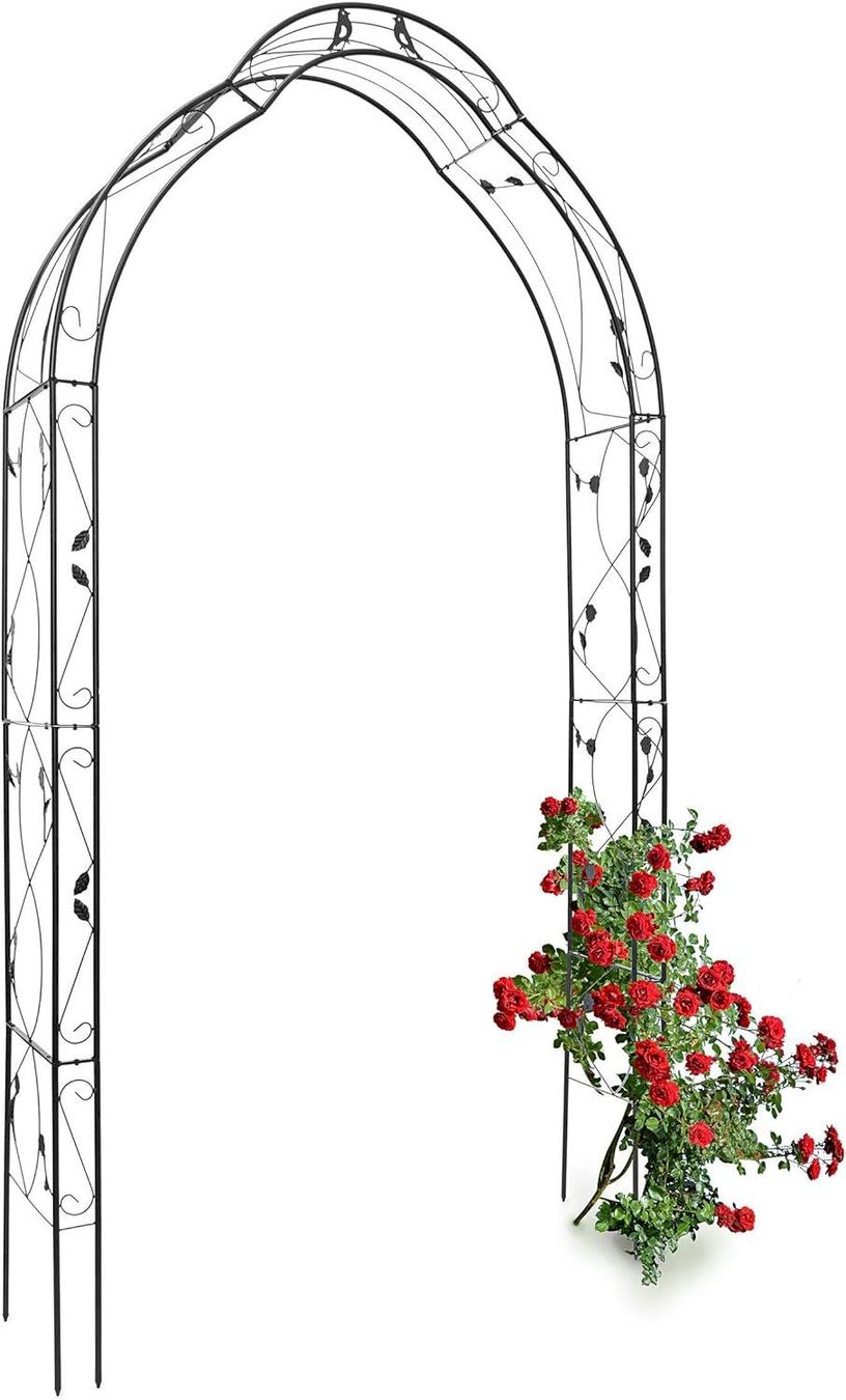 Altre Decorazioni per giardino: Rosenbogen Vogel 255x137x39cm – Nuovo e nell'imballaggio originale da Bottighofen venduto da zaap