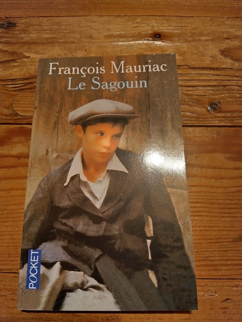 Bücher: Le Sagouin – Gebraucht aus Rüedisbach von aendu010