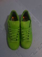 Adidas Superstar Sneaker grün guter Zustand Grösse 44