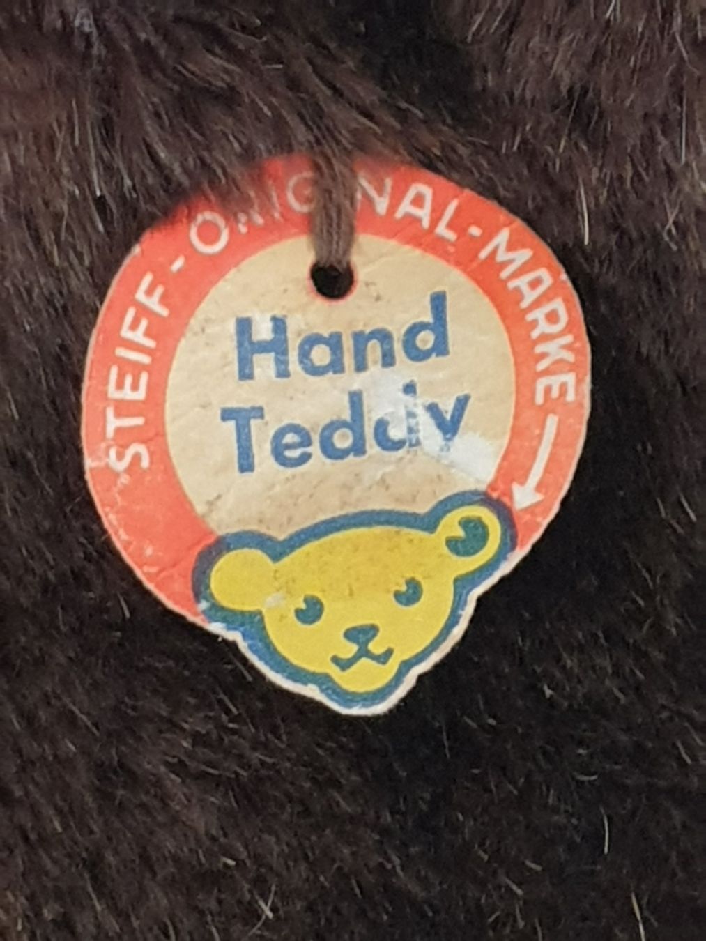 Statuette: Bär Handpuppe STEIFF – Usato da Mörschwil venduto da spirspi 1