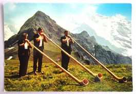 Alphornbläser auf dem Männlichen