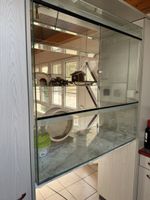 Terrarium 100x100x50
