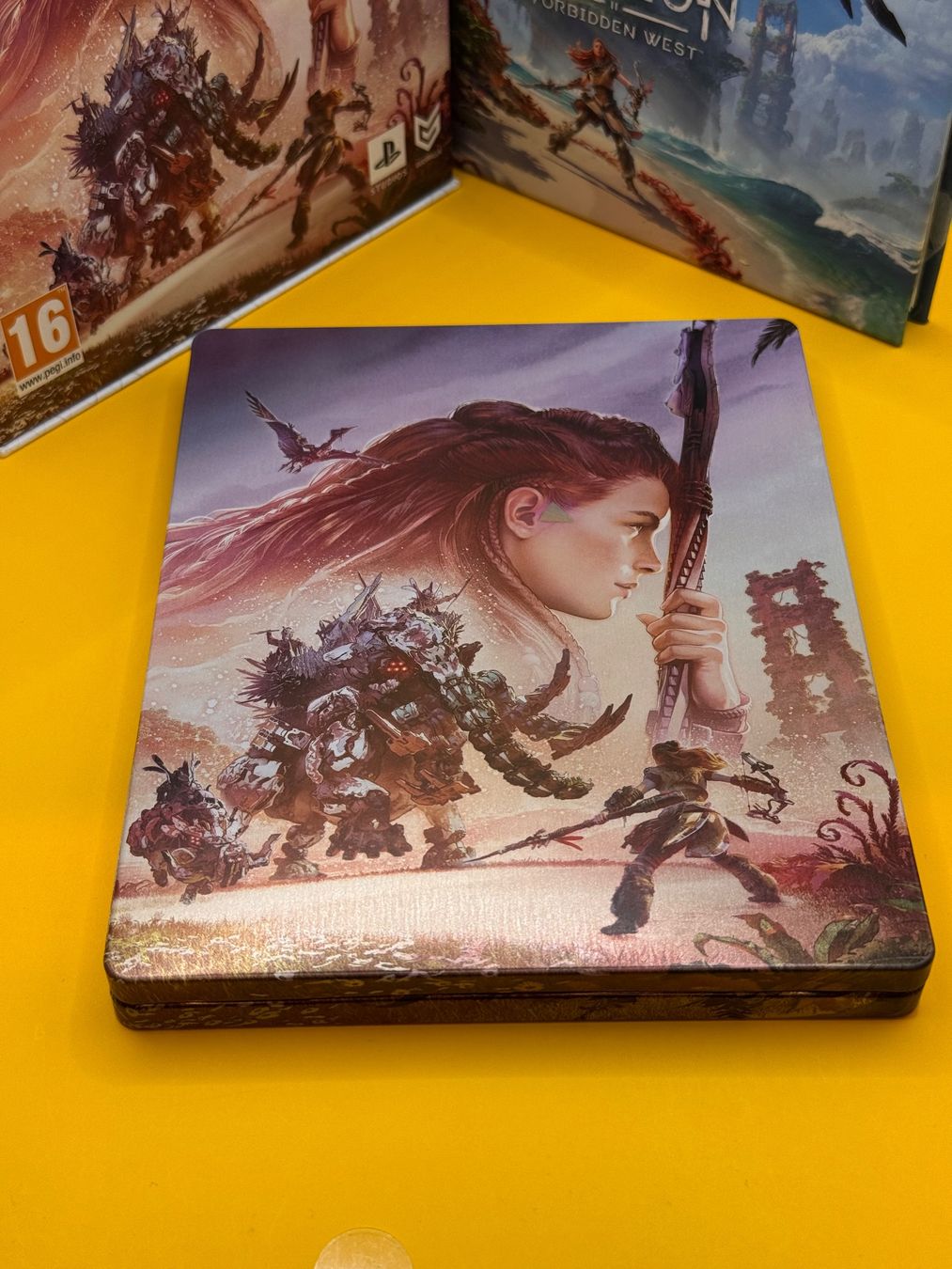 Sony Giochi: Horizon Forbidden West PS5 Special Edition – Usato da Oberwil b. Zug venduto da silver2024 8