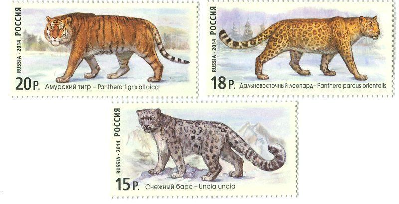 Tous les timbres: Briefmarken "Schneeleopard, Tiger, Leopard". Russland – Neuf avec emballage d'origine à Basel par Butsch5
