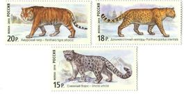 Briefmarken "Schneeleopard, Tiger, Leopard". Russland