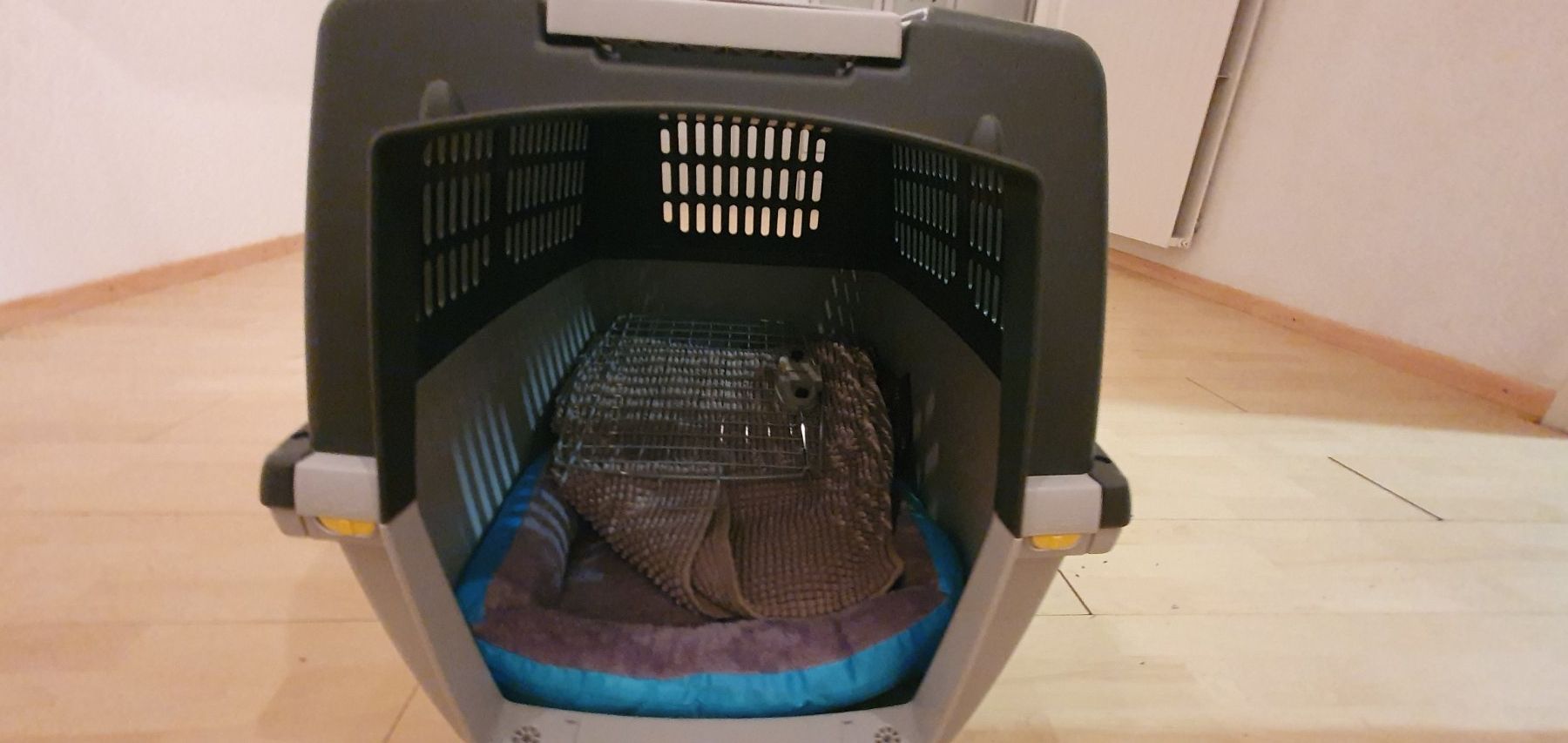 Gabbie, trasporto & Sicurezza: Hundebox – Usato da Nesselnbach venduto da Chliinihaex 2