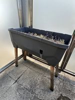 Hochbeet zu verschenken, Gusta Garden, Sammy Salad