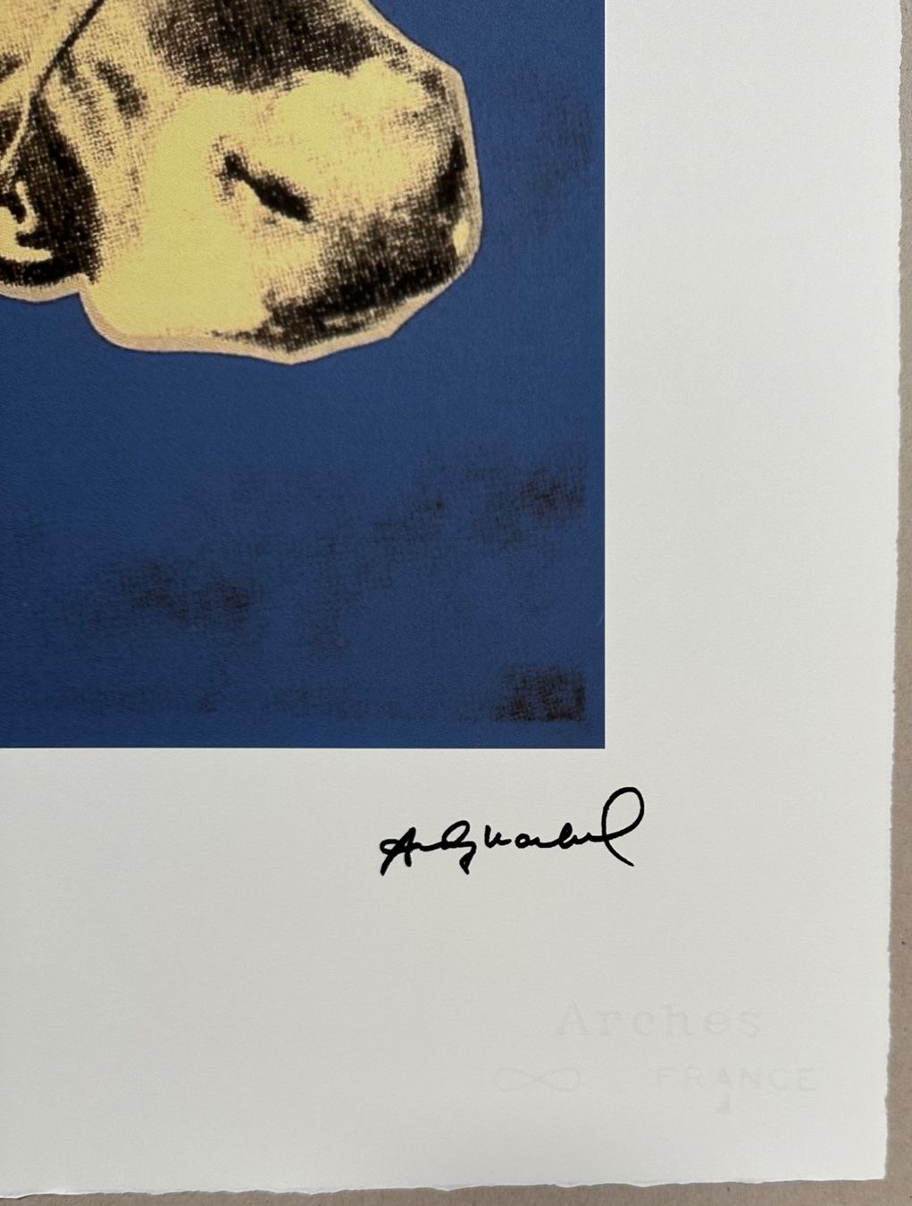 Dipinti: Andy Warhol: Cow, POP ART 87/100 – Nuovo (secondo la descrizione) da Meilen venduto da Smgdesign 2
