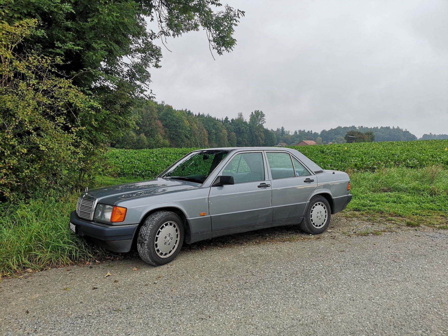 Mercedes-Benz Automobili: Mercedes 190E 2.6 W201 – Usato da Thalheim an der Thur venduto da strohfiich44 4