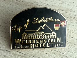 Pin Top of Solothurn Hotel Weissenstein