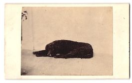 Fotografie G. P. Manley, Westerham / Ken