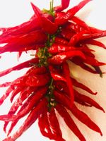 XL Scharf Chili GIRLANDE aus Kalabrien