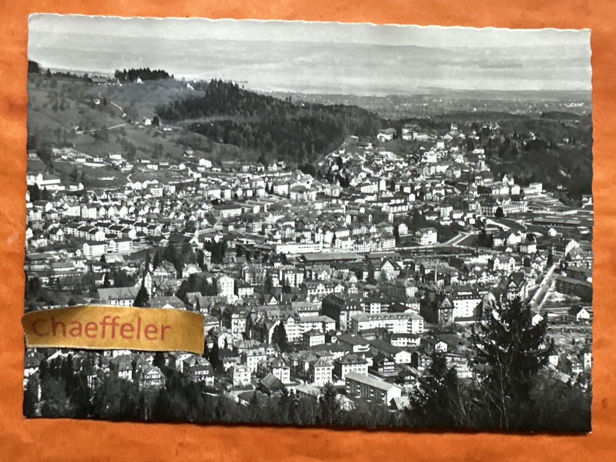 Cartoline postali: Alte Ansichtskarte von St. Gallen-Ost mit Bodensee – Usato da Zürich venduto da Chaeffeler
