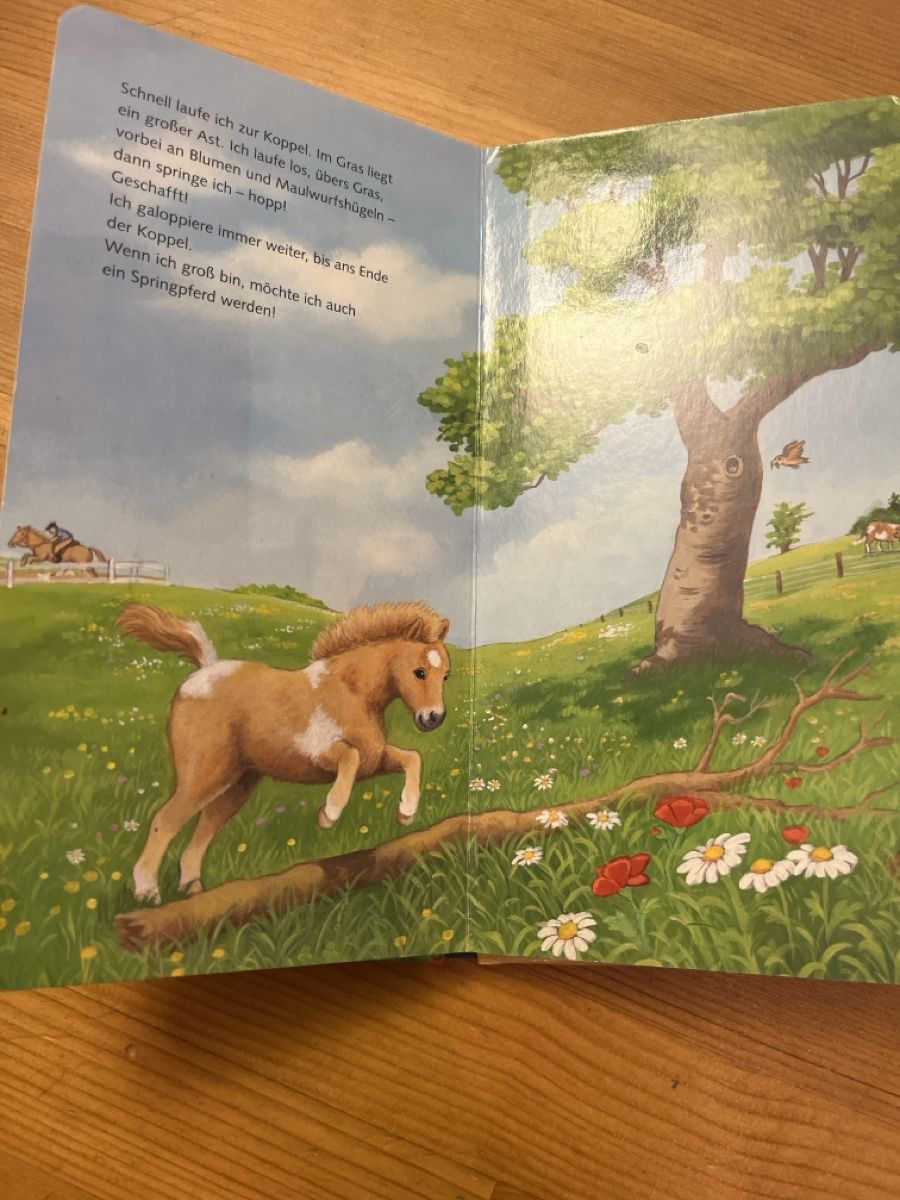 Livres: Bilderbuch Ich bin das kleine Pony – D'occasion à Andelfingen par estark 2