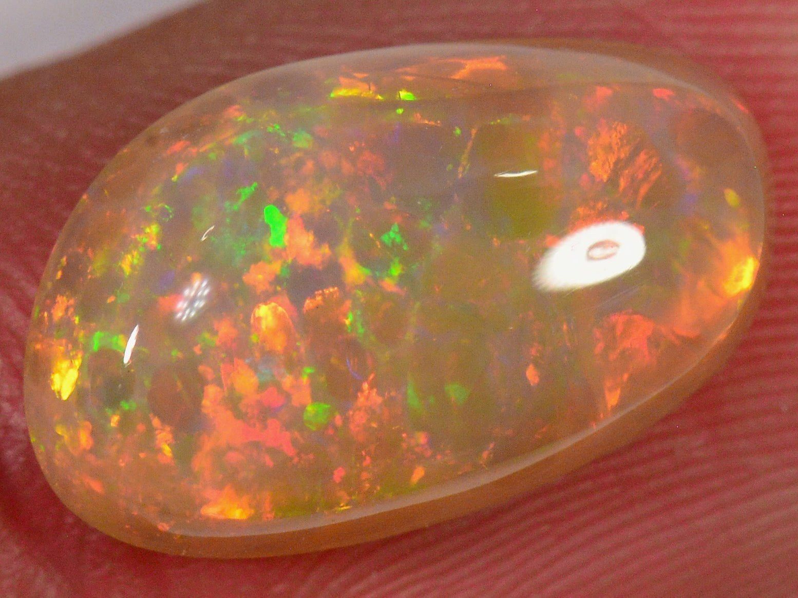 Edelsteine: 3.8 Karat - Leuchtender Äthiopischer Welo Opal – Neu (gemäss Beschreibung) aus Rüti ZH von DeinOpal 2